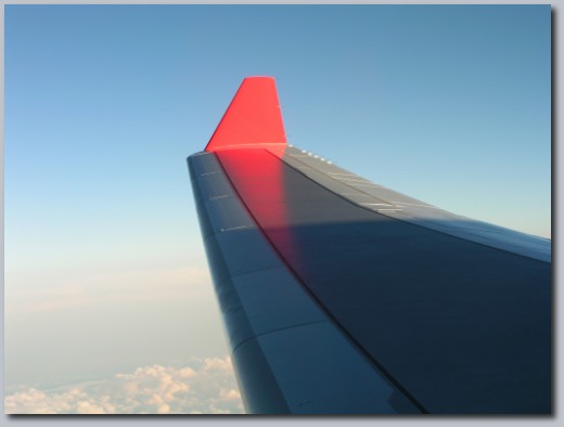 The plane's wing