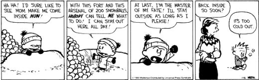 Some random Calvin and Hobbes strip.