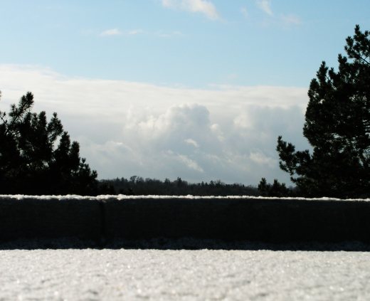 Clouds between trees