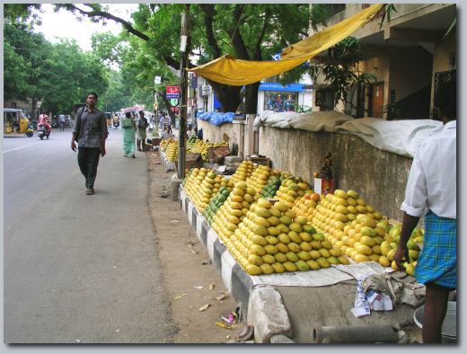 Mango footpath.